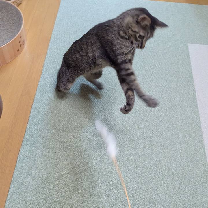 02bc57c5 dad6 4167 a22d 4aa4658b0467 1759997007412