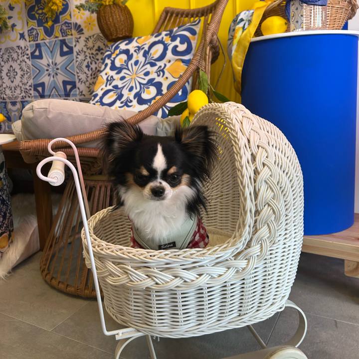 02bc5a3b 95a4 403e 9e92 5ffd1985d379 1773473151086