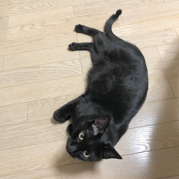 02bc7a09 f690 444d b5a7 870382b6a308 1603630650213