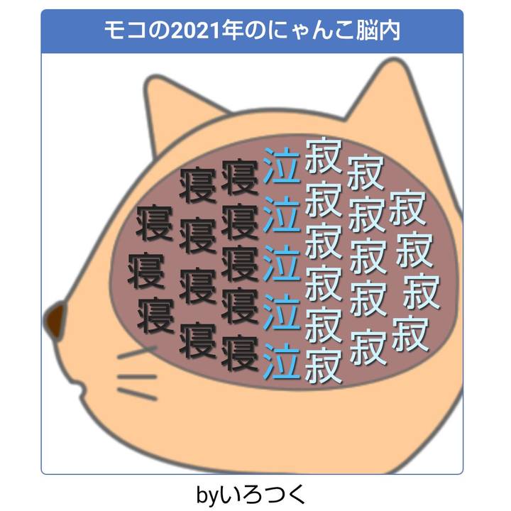 02bc7adb 802d 4c73 a4ba 2b3edaaa2b8b 1625813751917