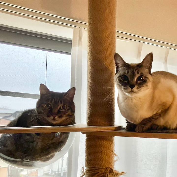 02bd0556 ca9a 431e b22d 8a10253d5448 1708836993997