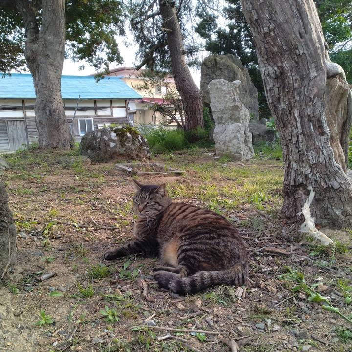 02bd0c6b f156 48da be63 9cdd74d7c2a9 1684662512574