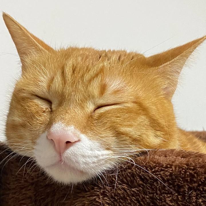 02bd36ea 23df 4c8a ad17 31018d0fe603 1703280759035