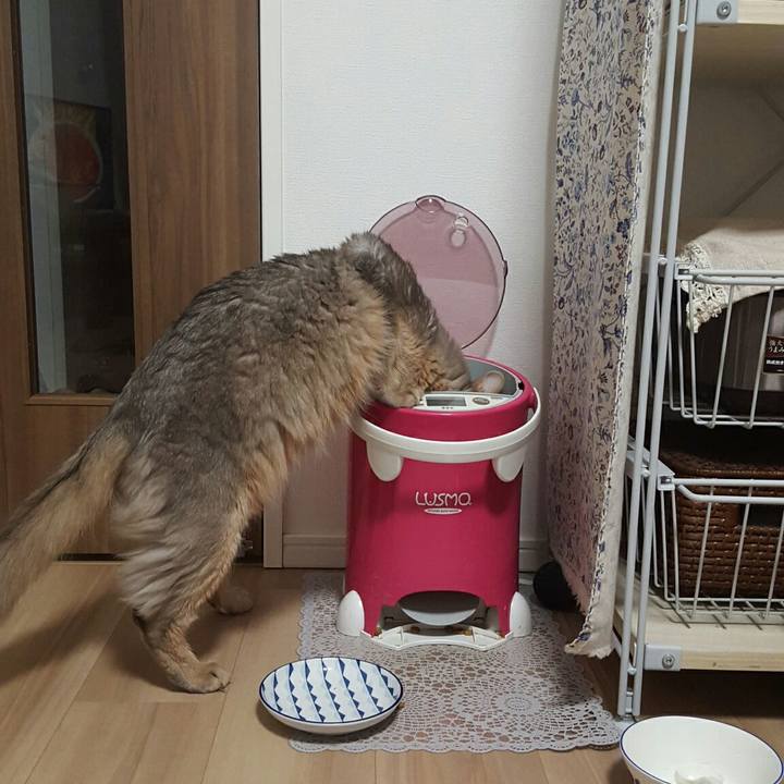 02bd3d9b 04d7 4367 80f8 0a3d2eaa8d6f 1549187394637