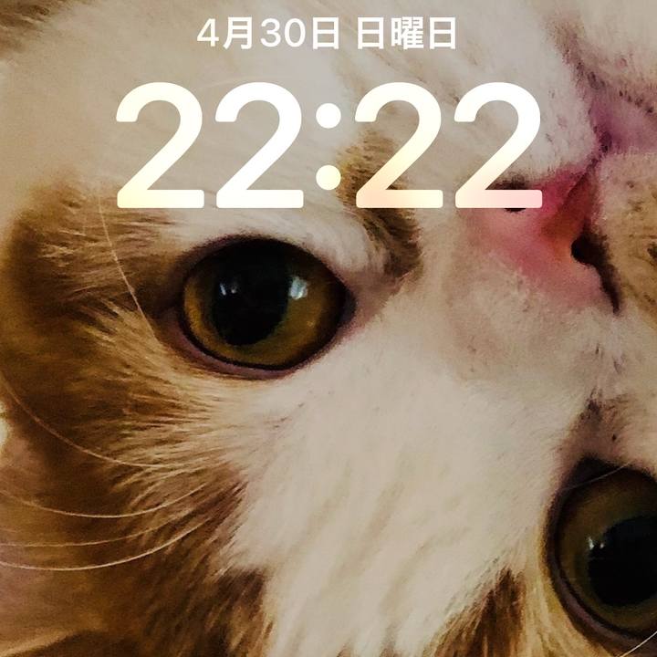 02bd4199 c841 47b0 aef8 6c743b11dfa7 1682861701326
