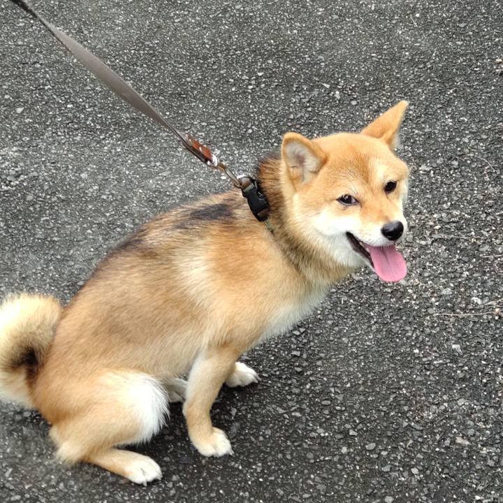 02bdce28 acb8 4e46 99ba f878fee2cab7 1623479896001