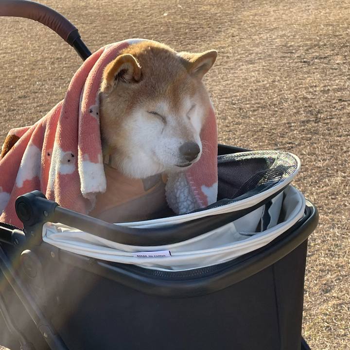 02bdce40 c6ff 40b8 a839 50b52a284ac5 1645364821542