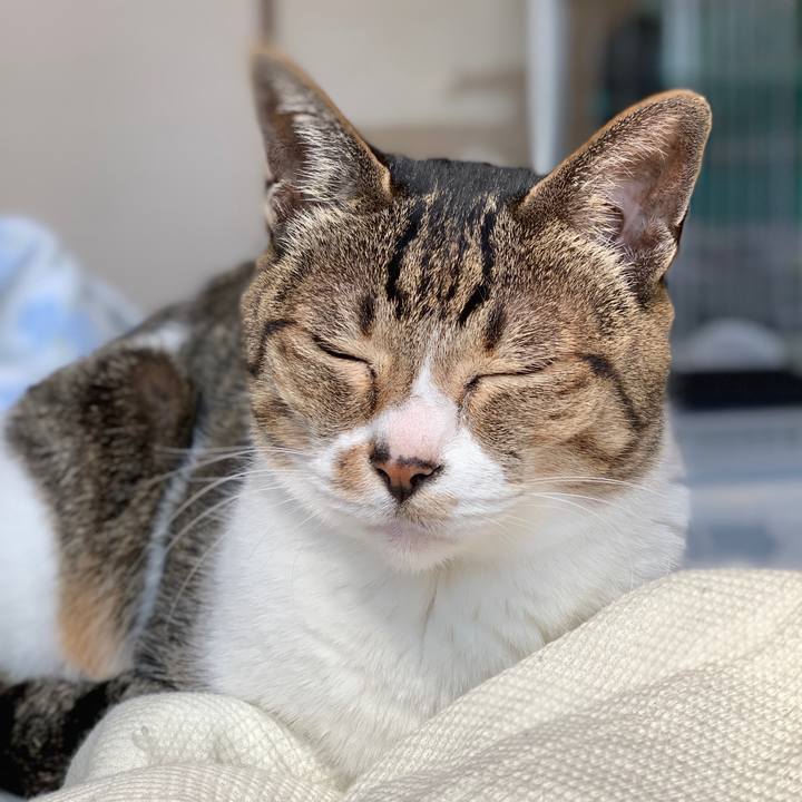 02bde0a8 c52e 423e 82f5 baf1d8790371 1589244289738