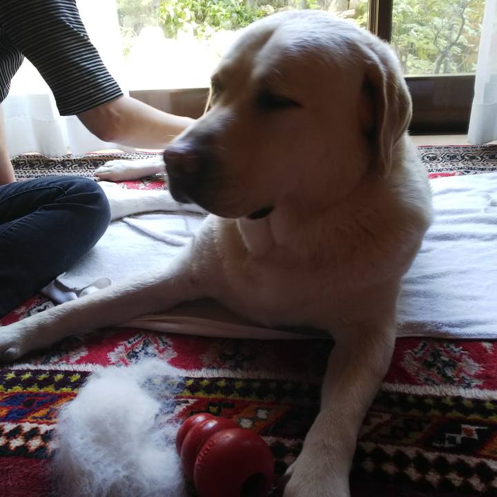 02bdf90a ea95 4a4b 9fa6 f50628178c19 1557552593892