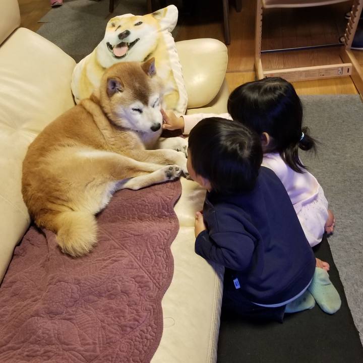 02be4657 0381 49df 8ebf 81735d3d1ce5 1735640488518