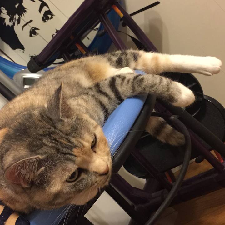 02be5766 55c5 43d2 ac22 f9359592b417 1560951691777