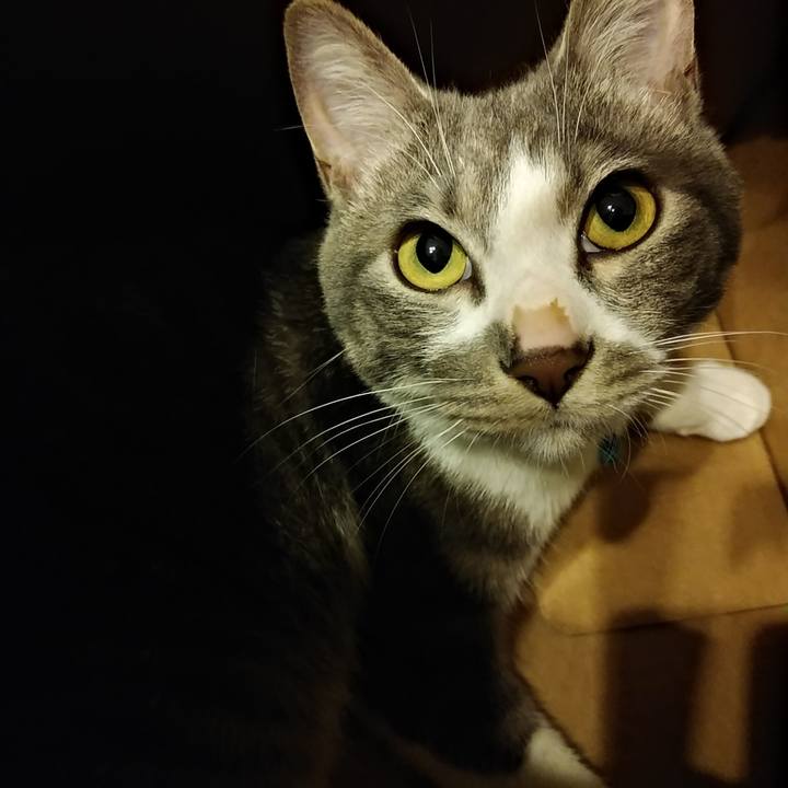 02be5b2d 6bf1 4842 8319 18db3883c223 1589799881982