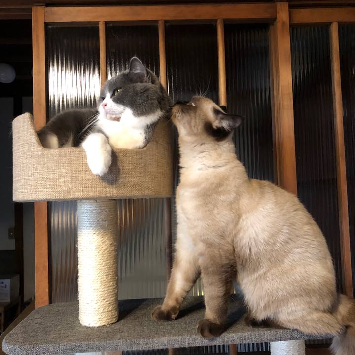 02be5d93 48a0 4baa 825a d5671deec3ee 1601612357919