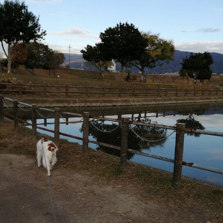 02bea89e a7d3 49af a3ee 47326d74c6f9 1575806765048