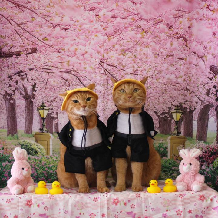 02beae87 a334 44ab 9d70 3e09428452d7 1775886157009