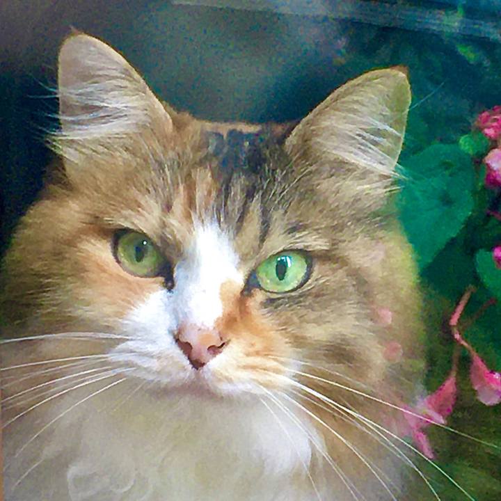 02bec8c2 e2db 4842 9447 d2faaa2f31b2 1599377704272