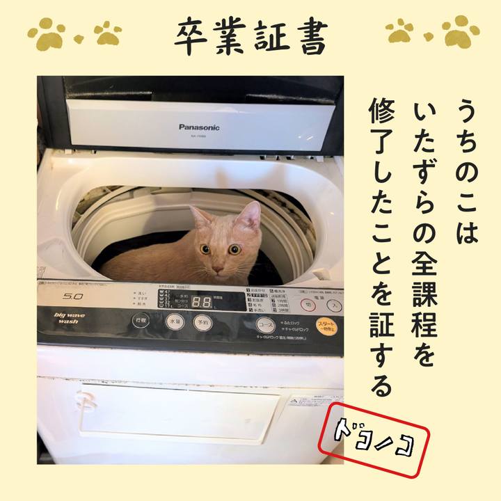 02bf3e04 216d 4d1b 984a 1d7150b75446 1772060323228