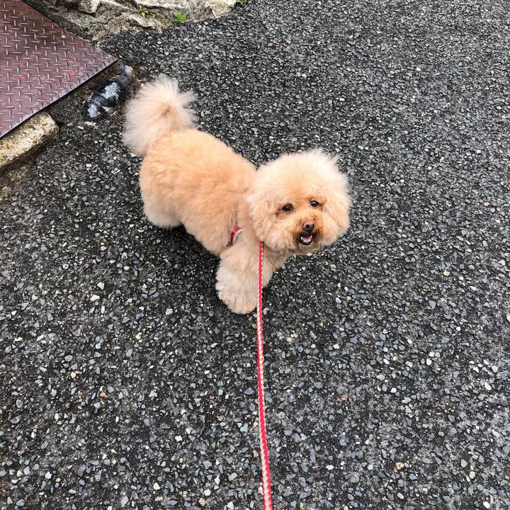 02bf82ab 7424 4a54 b490 10d07acf99d5 1529383716279