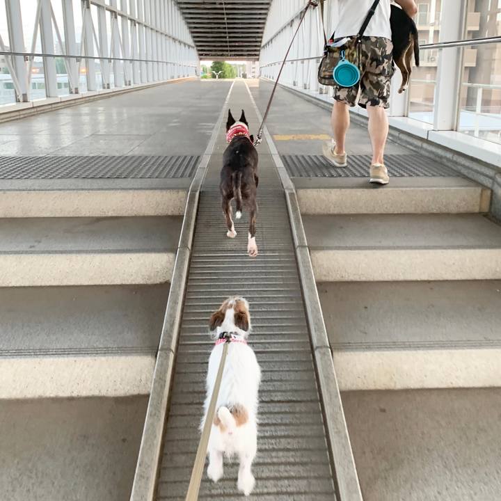 02bf91e0 9966 4caf 92d3 cd2f31568153 1565692705074