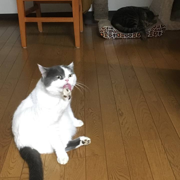 02bfa386 51c6 409e 9a1b 610f720e689b 1537965789338