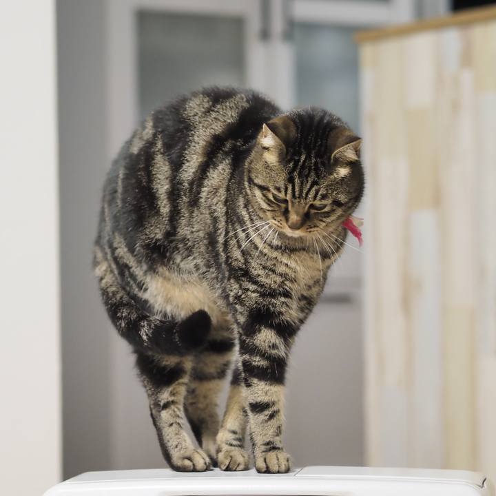 02bfb06b 4235 4058 bff5 7aa93101abe8 1612420827472