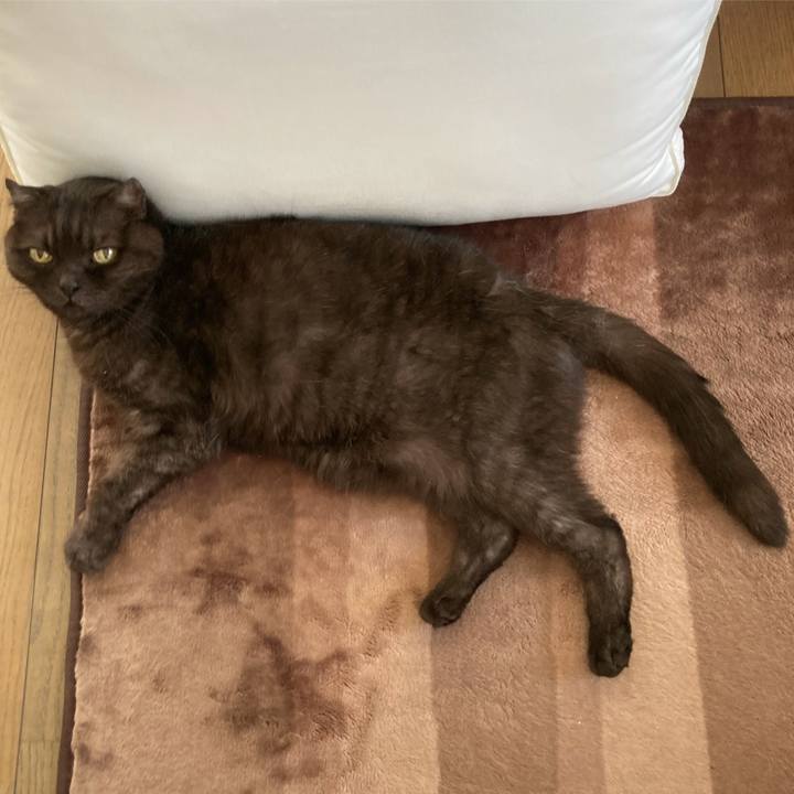 02bfca52 94aa 45bf bd24 79b3792e677d 1633869750015