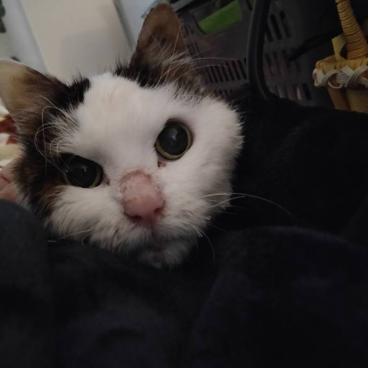 02bfdef8 abc4 4f75 9708 4f928d8ad9c9 1609369859595