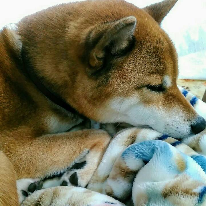 02bff153 b746 46cf b34d b7912ba140b4 1573439048022