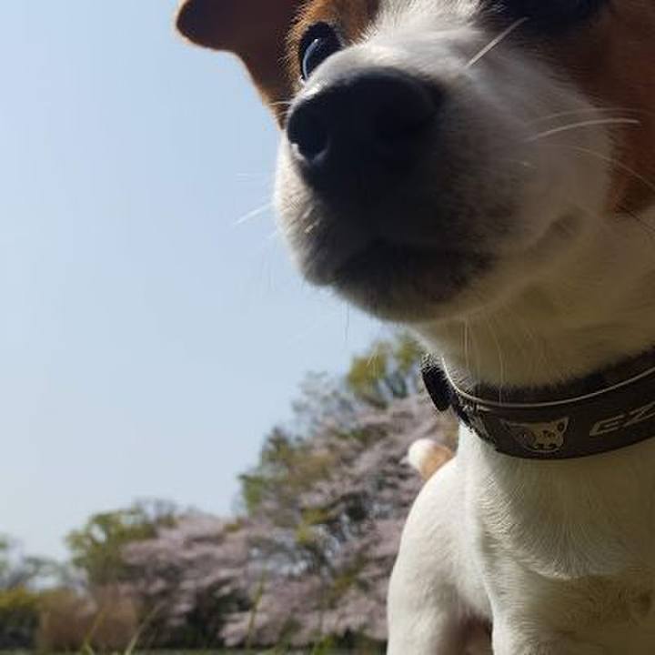 02bff8cc 986f 48c4 87a7 983027b53d44 1554625661857