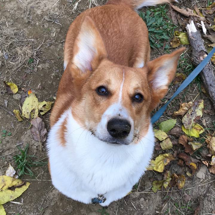 02c01055 6463 456a a6ad 3c0fe92bd527 1606227393756