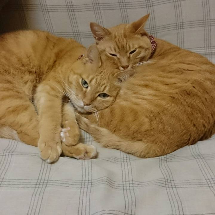 02c02030 74de 4079 8763 d16a0c57216a 1525678688249