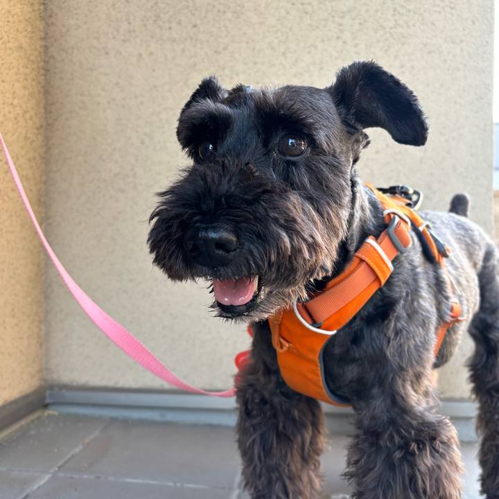 02c031f5 45c5 4576 8e63 3f5d1d0d2edf 1751146542011