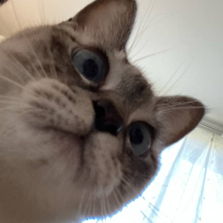 02c0569c 4e3b 4158 b26c d64861a90d8e 1667894358244