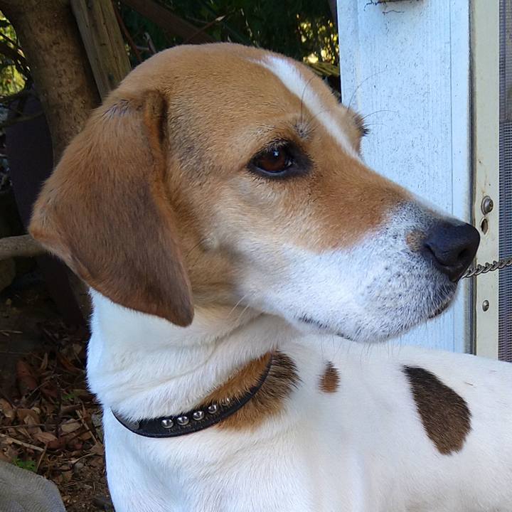 02c06561 d587 4b23 ac29 53099478eb61 1644129687549