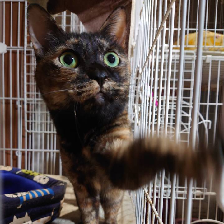 02c0b1d5 24c4 4851 a6a6 14c73a46a20a 1717728105516