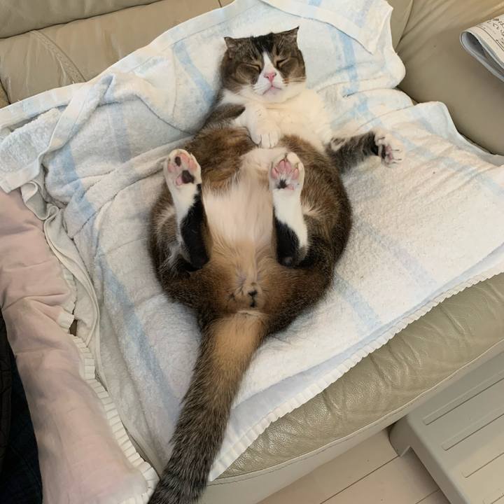 02c0ba11 2c48 492b 81dd a195cd507449 1612071276915