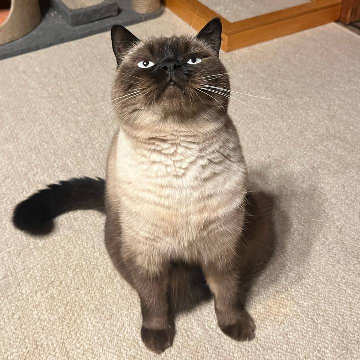 02c0c75b 6f1d 4957 93b4 491b5f01cf6f 1666092914889