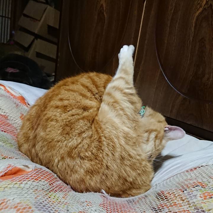 02c0e5d3 cc2c 4125 a99f 9af56b3e967b 1585311207485