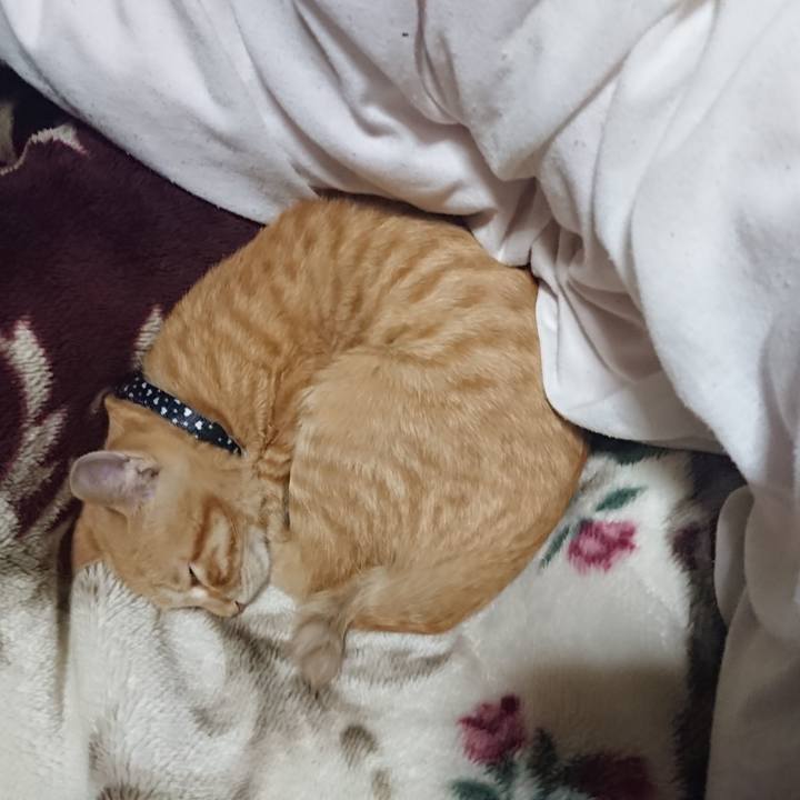 02c1063f d9ca 4cfa b7e7 51e4a3fae6c1 1634215638331