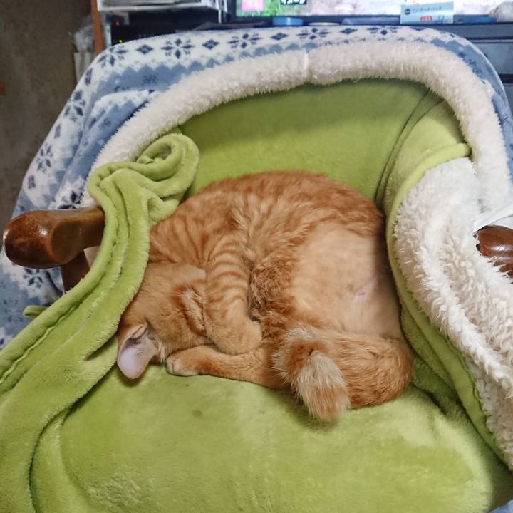 02c13533 8682 4035 82a7 70bfc98a4e81 1655072020833