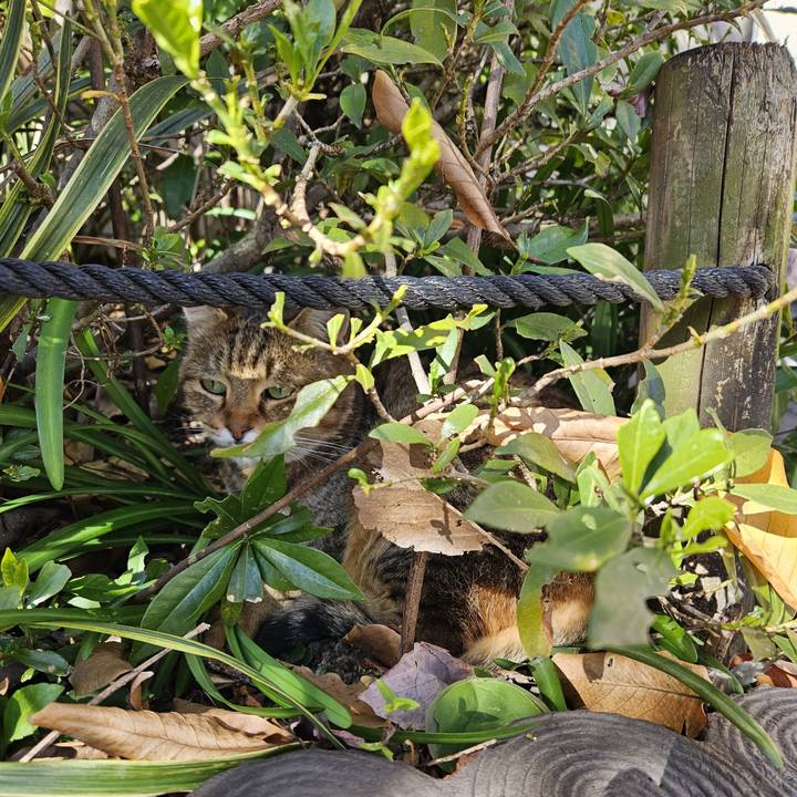 02c17388 0eeb 45f3 b013 93b6ef4eaa10 1701496387301