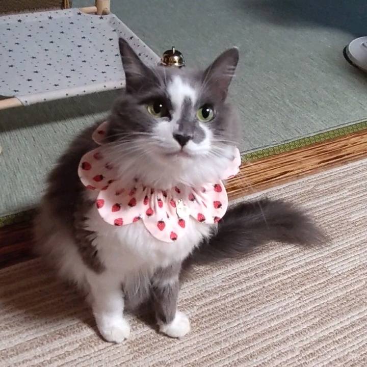 02c1810d 4e82 4187 aed7 c0a6c2ee981f 1663489413678