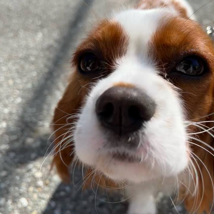 02c183f3 1f97 4c13 9ccc e076518a4cfc 1683075312795