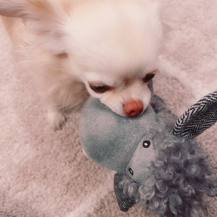 02c18d39 7e4e 4d11 bf65 28853c0c48af 1708002856133