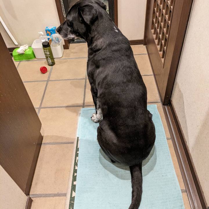 02c19ce4 fdd8 4c1c 80e4 8b518f053359 1713096403380