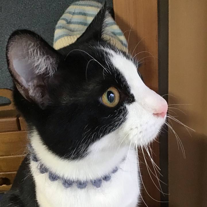 02c1c225 9136 4129 995c 3fe7e5ca300f 1640917899853