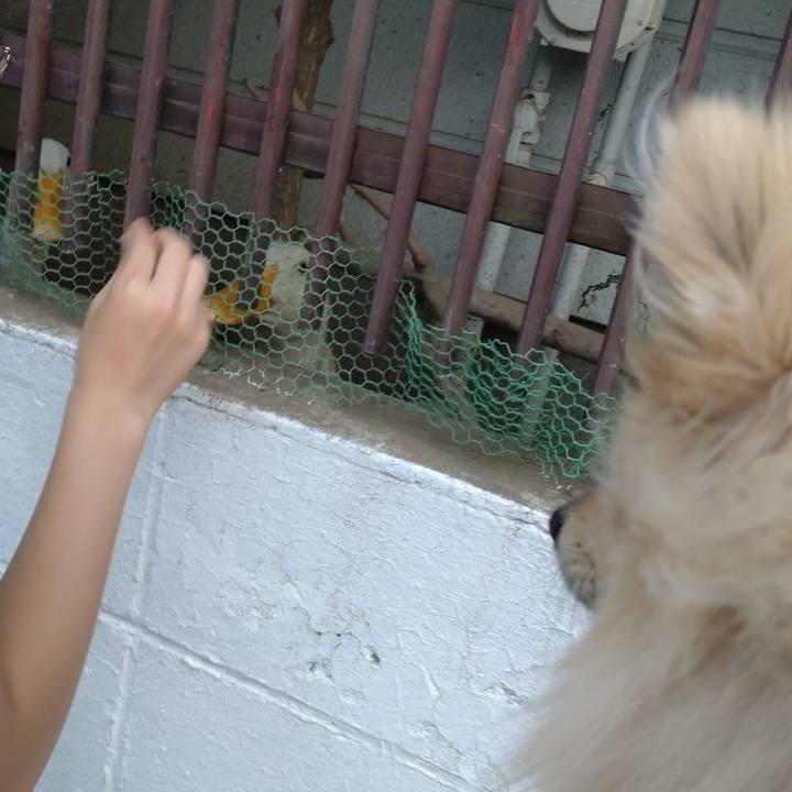 02c21e34 753e 4d3a b4bb d112a83a3325 1754710556530