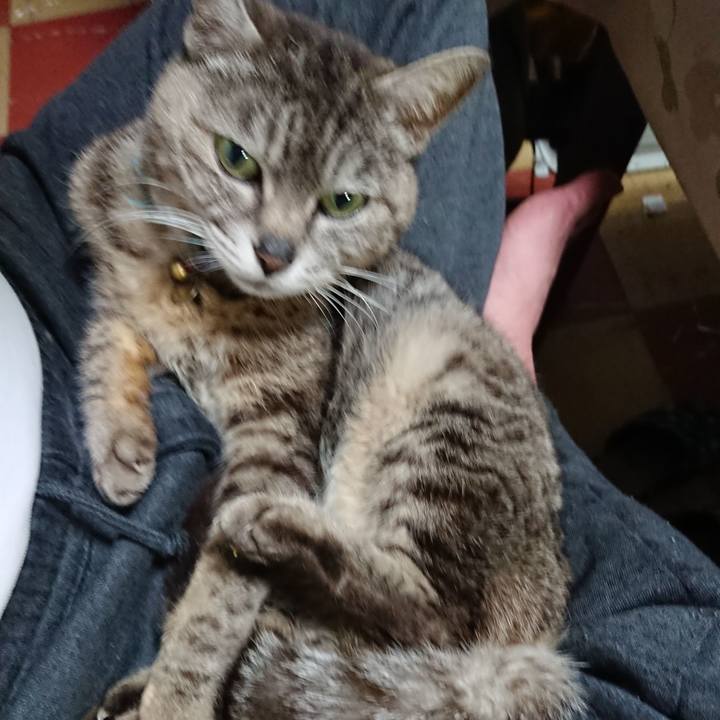 02c22a84 2b5a 4ebe 8d1f b857f3a9a32f 1560163987846