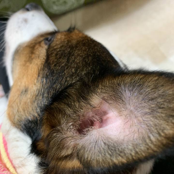 02c2425e f0c9 497f 8f2f 031e325d9546 1580296944081