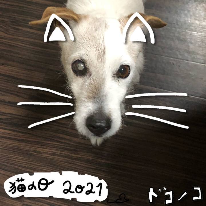 02c24c2f 387e 4b02 99d8 81b00eb6e26f 1613960970083